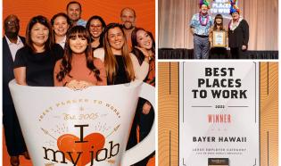 Best Places to Work Hawaii