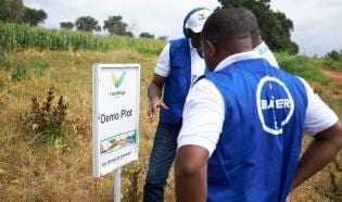 Foodwings agriculture programm in Ghana