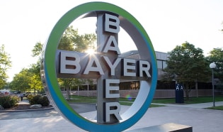 Bayer logo in Creve Coeur Missouri