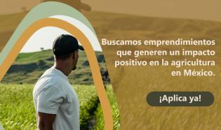 Únete al programa Siembra de Fundación Bayer y New Ventures y transforma  la agricultura en México