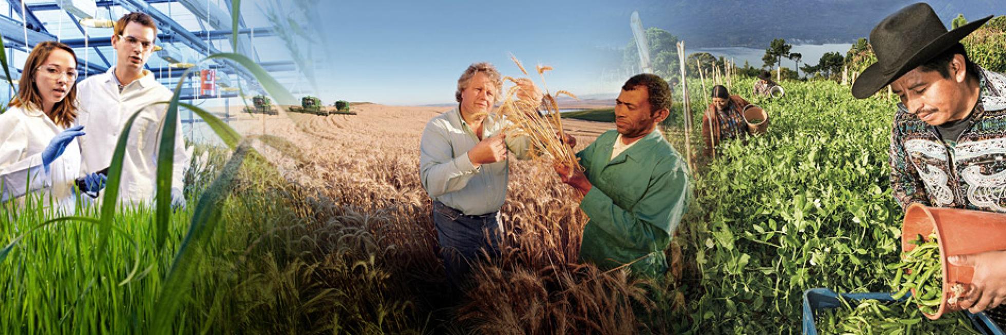 Crop Science | Bayer Spain