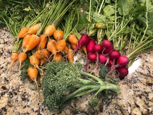 A bunch of radishes and carrots on a counter.