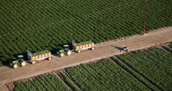 An aerial view of two tractor trailers on a dirt road.