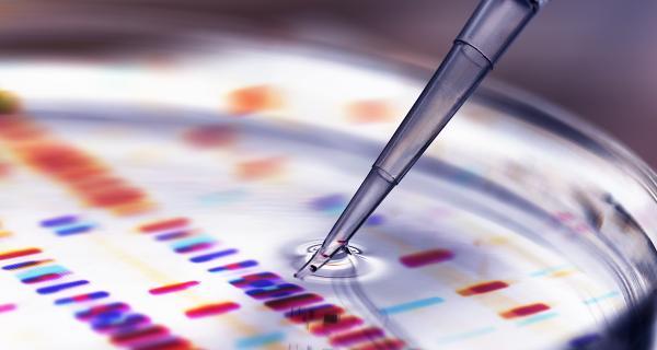 A sample of dna in a petri dish.