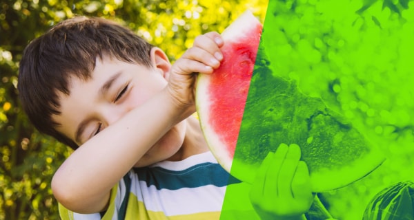 Child eating seedless watermelon