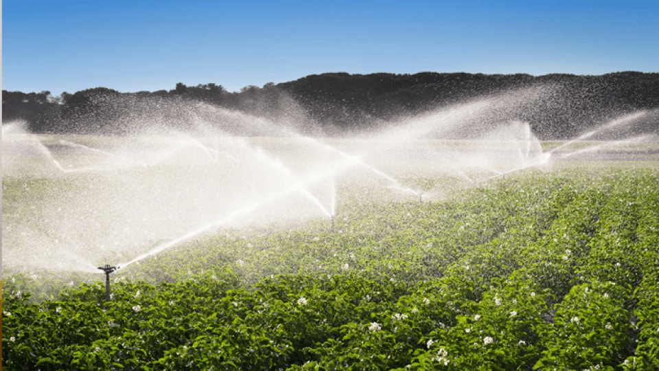 An image of a field with a sprinkler on it.