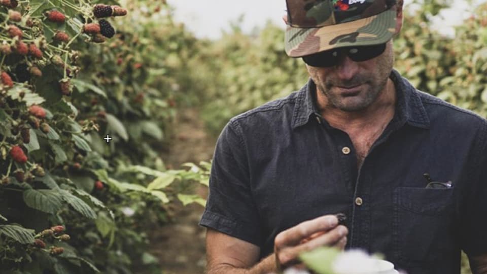 A man in a camouflage hat standing in a field of strawberries.