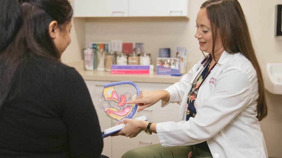 Doctor showing model of reproductive system to woman