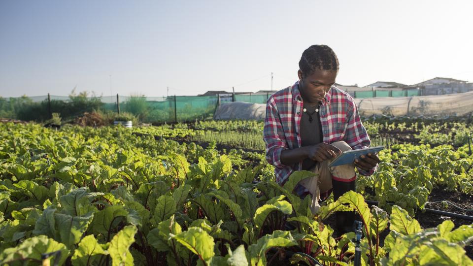 small_farmer_with_tablet_3