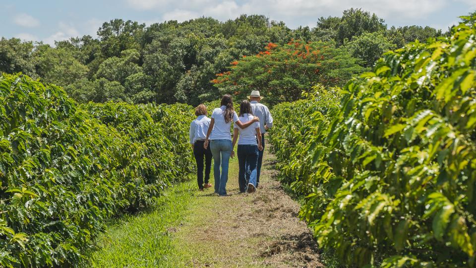 Fazenda Estância