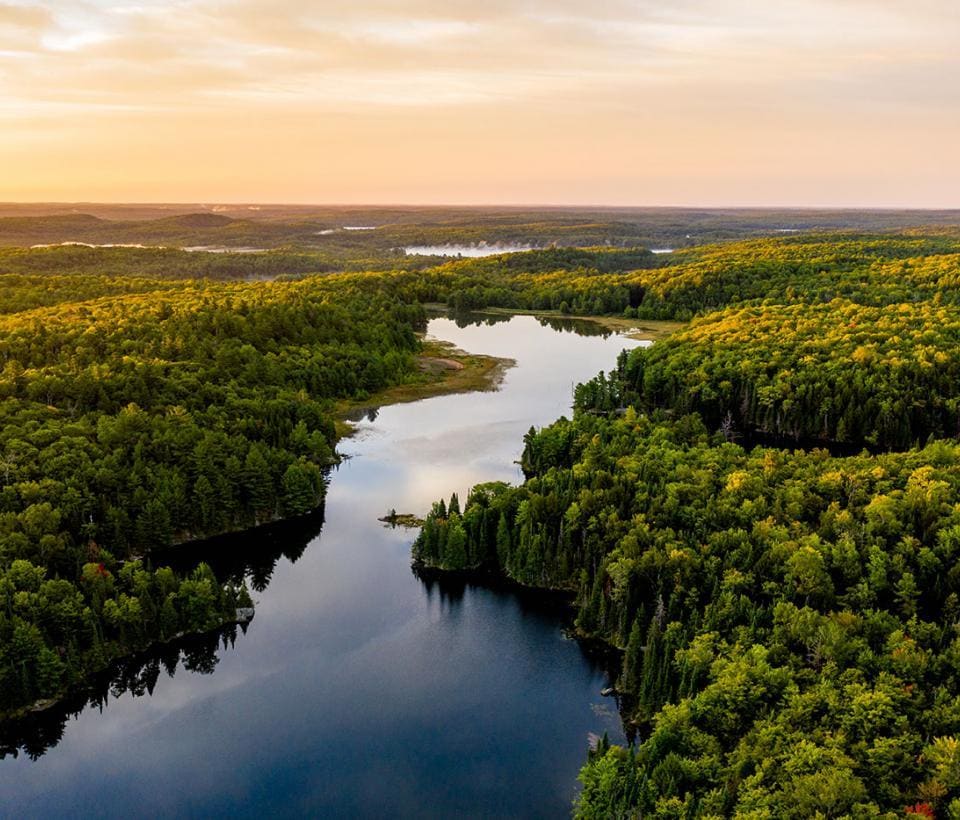 An aerial view of a lake in a forest.