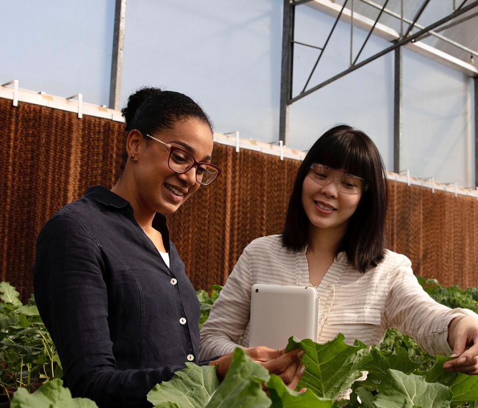 Two girls looking at plants