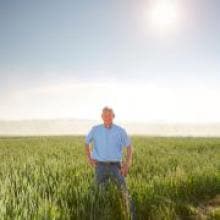 A man stands in a wheat field on a sunny day.