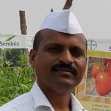 A man in a white shirt standing in front of a tomato plant.