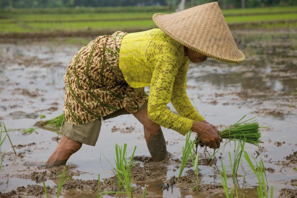 Peluncuran Program Better Life Farming Untuk 4 Juta Petani Di Indonesia ...